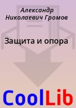 Книга - Александр Николаевич Громов - Защита и опора - читать
