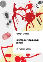 Книга - Роберт  Егоров - Экспериментальный роман - читать