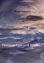 Книга - Яков  Гольник - Разгром Красной Армии - читать