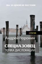 Книга - Андрей  Воронин - Точка дислокации - читать