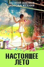 Книга - Василий Вадимович Зеленков - Настоящее лето - читать