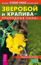 Книга - Мария  Полевая - Зверобой и крапива – природная сила! - читать
