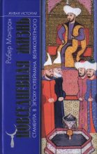 Книга - Робер  Мантран - Повседневная жизнь Стамбула в эпоху Сулеймана Великолепного - читать