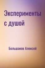 Книга - Алексей Владимирович Большаков - Эксперименты с душой - читать
