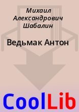 Книга - Михаил Александрович Шабалин - Ведьмак Антон - читать