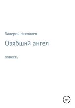 Книга - Валерий Владимирович Николаев - Озябший ангел - читать