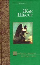Книга - Жак  Шессе - Упражнение в святости - читать