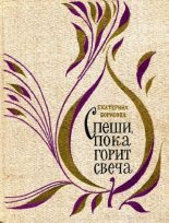 Книга - Екатерина Борисовна Борисова - Спеши, пока горит свеча - читать