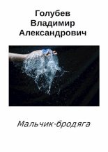 Книга - Владимир Александрович Голубев - Мальчик-бродяга - читать
