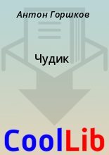 Книга - Антон  Горшков - Чудик - читать