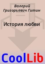Книга - Валерий Григорьевич Гитин - История любви - читать