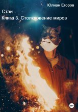 Книга - Юлиан Львович Егоров - Стаи. Книга 3. Столкновение миров - читать