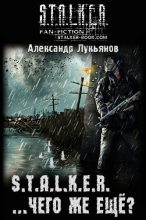 Книга - Александр Николаевич Лукьянов - S.T.A.L.K.E.R. ...чего же ещё? - читать