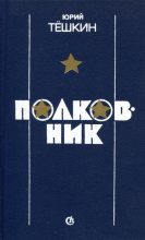 Книга - Юрий Александрович Тёшкин - Полковник - читать